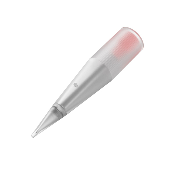 Applicateur de pigment Goldeneye Classic #1 (Aiguille #1) - 10 Pièces