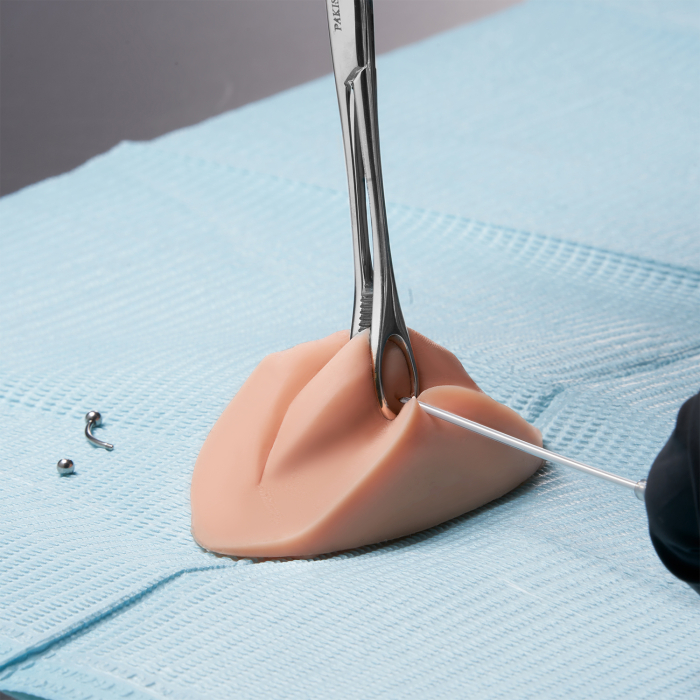 A Pound of Flesh - Lèvres d'entraînement PMU et partie corporelle pour piercing