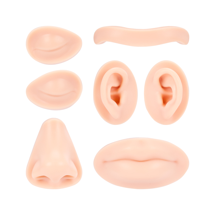 A Pound of Flesh - Pièces remplaçables pour tatouage, maquillage permanent (PMU) et tête de piercing - Teinte Fitzpatrick 2