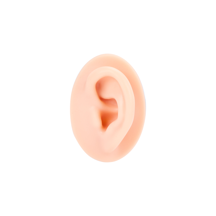 A Pound of Flesh - Oreille Gauche pour Tatouage, PMU et Piercing