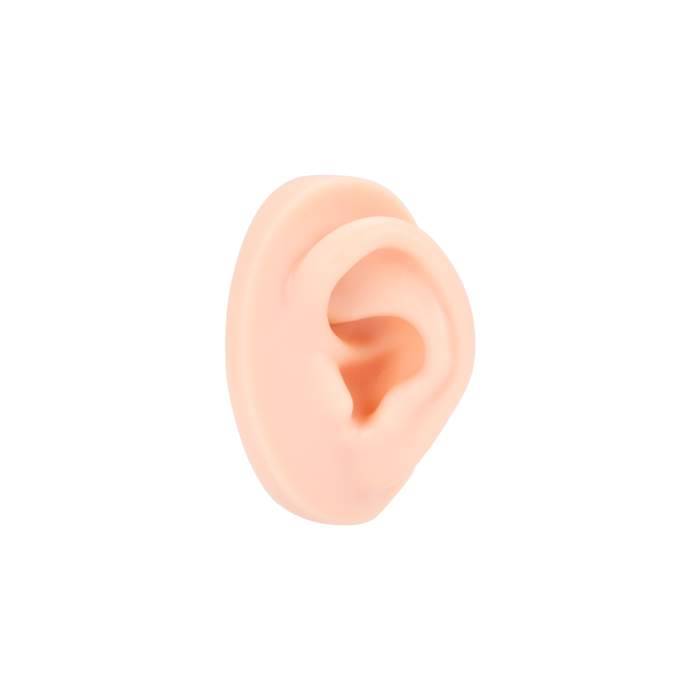 A Pound of Flesh - Oreille Gauche pour Tatouage, PMU et Piercing