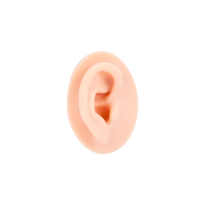 A Pound of Flesh - Oreille Droite pour Tatouage, PMU et Piercing