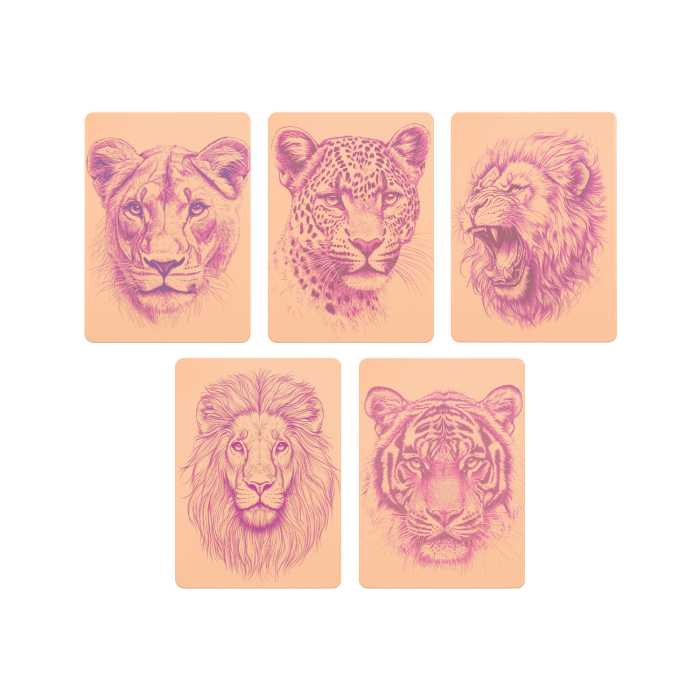 Ensemble de 5 Stencil Skins® à motifs pré-imprimés - Extra Soft