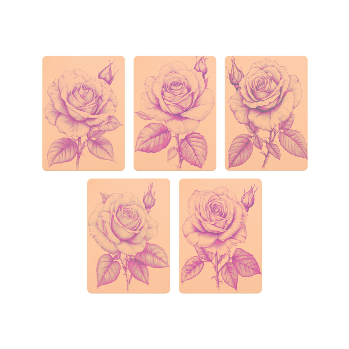 Ensemble de 5 Stencils Skins® à motifs pré-imprimés - Original